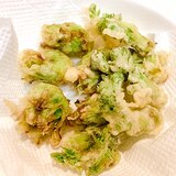 春物先取り♪ふきのとうとタラの芽の天ぷら